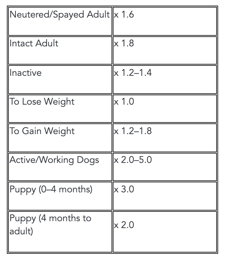 How Many Treats You Can Give Your Dog During Training Preventive Vet